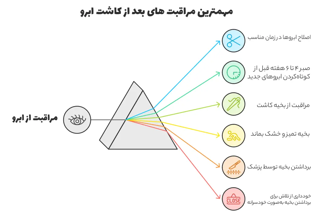 اینفوگرافیک مراقبت های کاشت ابرو در طولانی‌مدت و نتایج نهایی